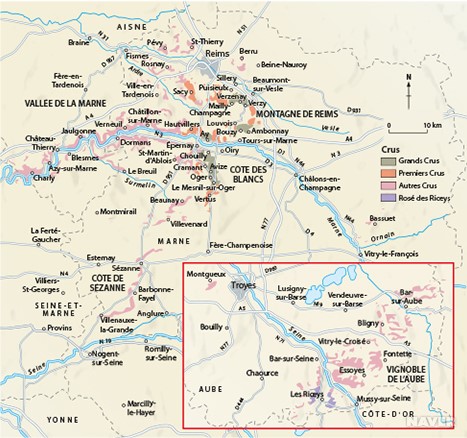 꼬냑 지역 포도밭 테루아