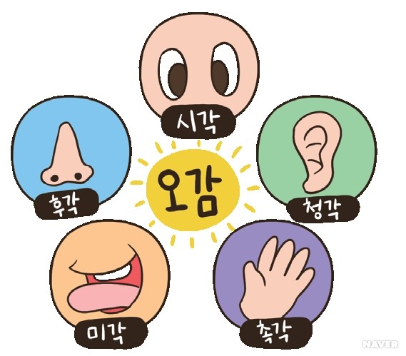 감각