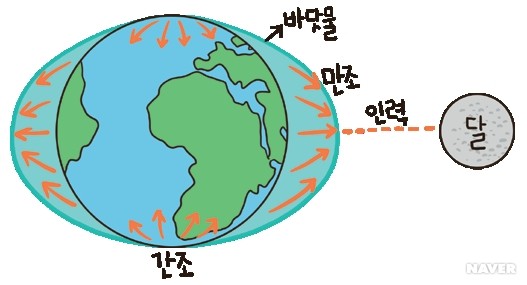 밀물