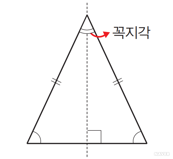 정삼각형 - 이등변 삼각형