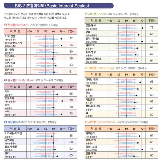 STRONG 흥미검사 - 프로파일 해석 - 기본흥미척도(BIS) 결과 예시