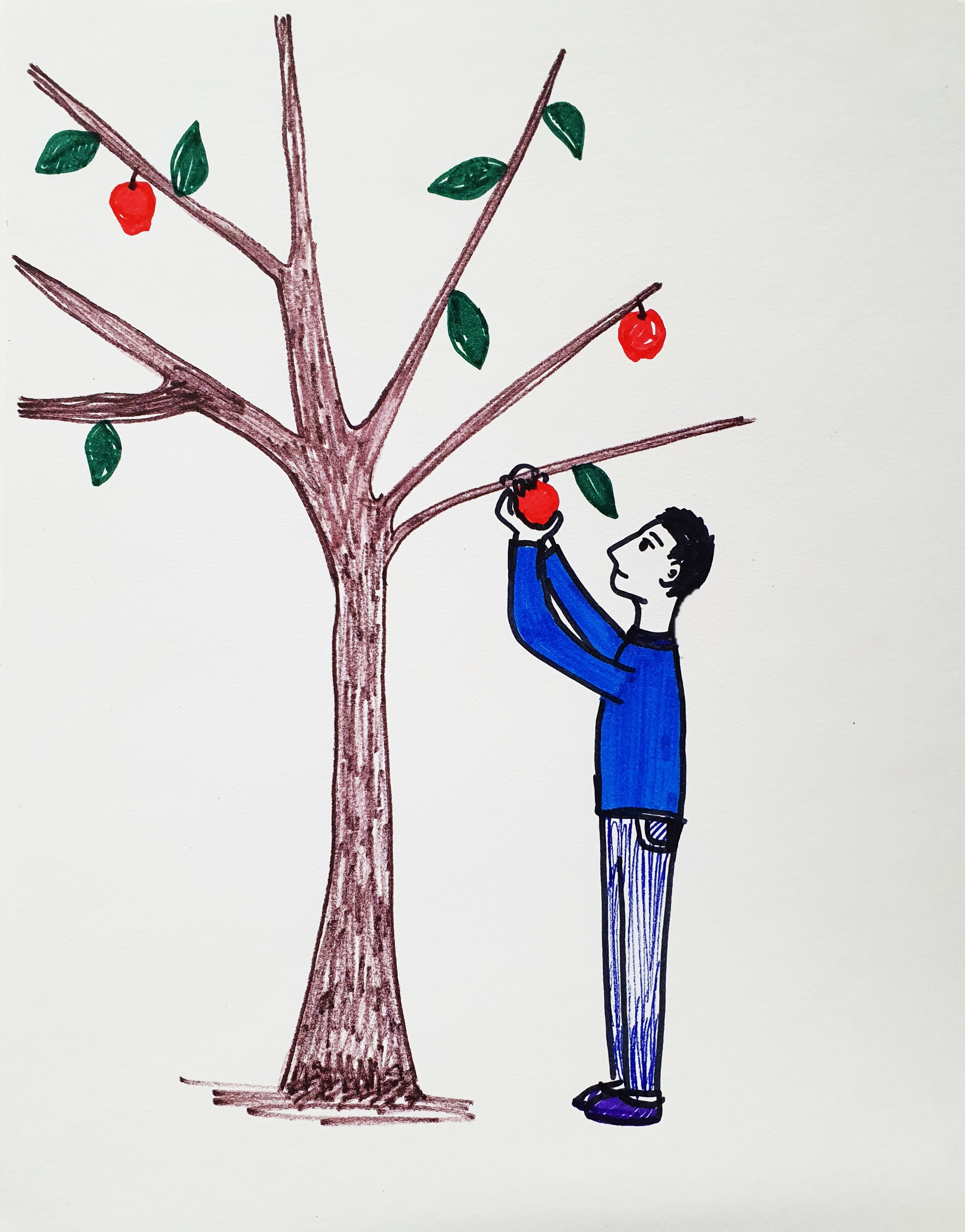 사과나무에서 사과를 따는 사람 그림검사 – 성인 사례